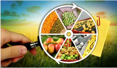 Agribusiness & Food Processing