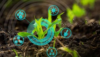 Agricultural Science & Food Technology