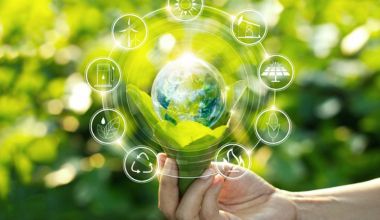 Environmental Science & Sustainability